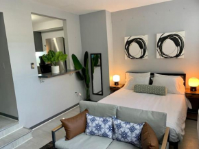 Explore North Side Chicago from Modern Studio APT